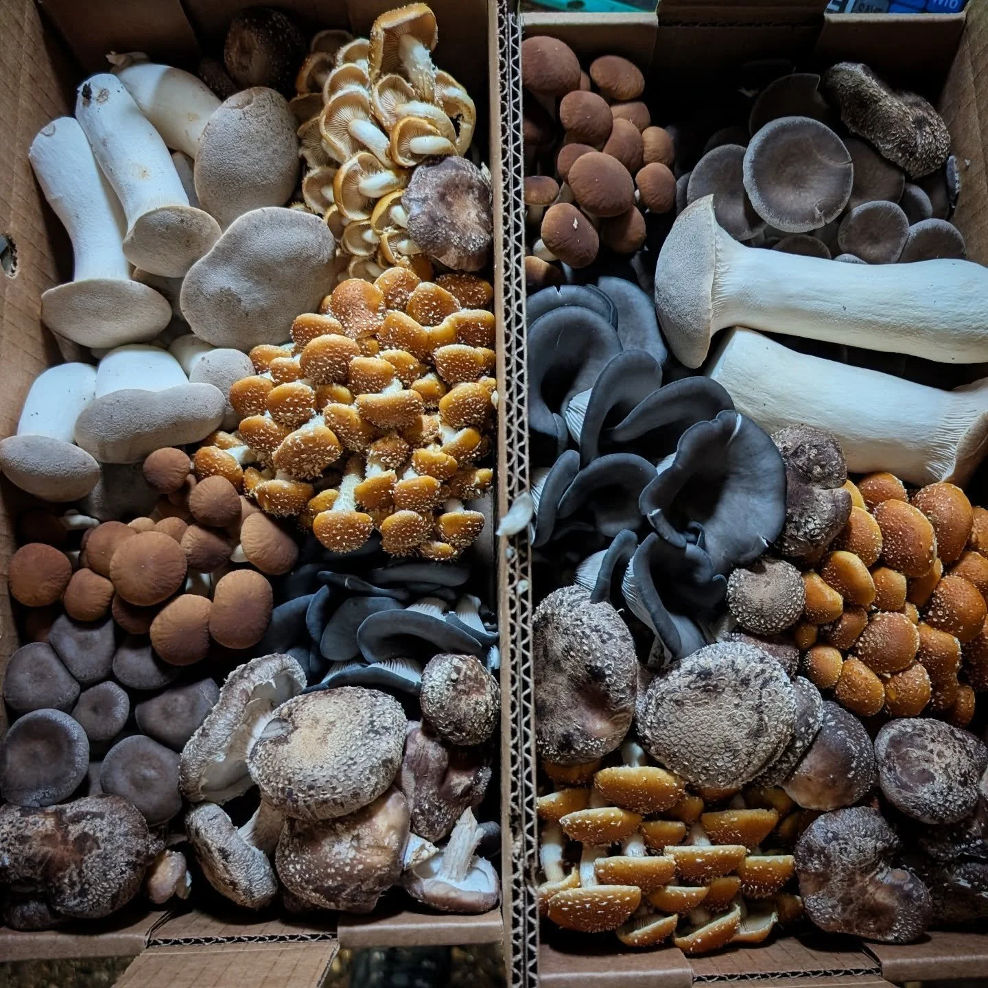 Some of the boxes we're sending to @friday.saturday.sunday this week