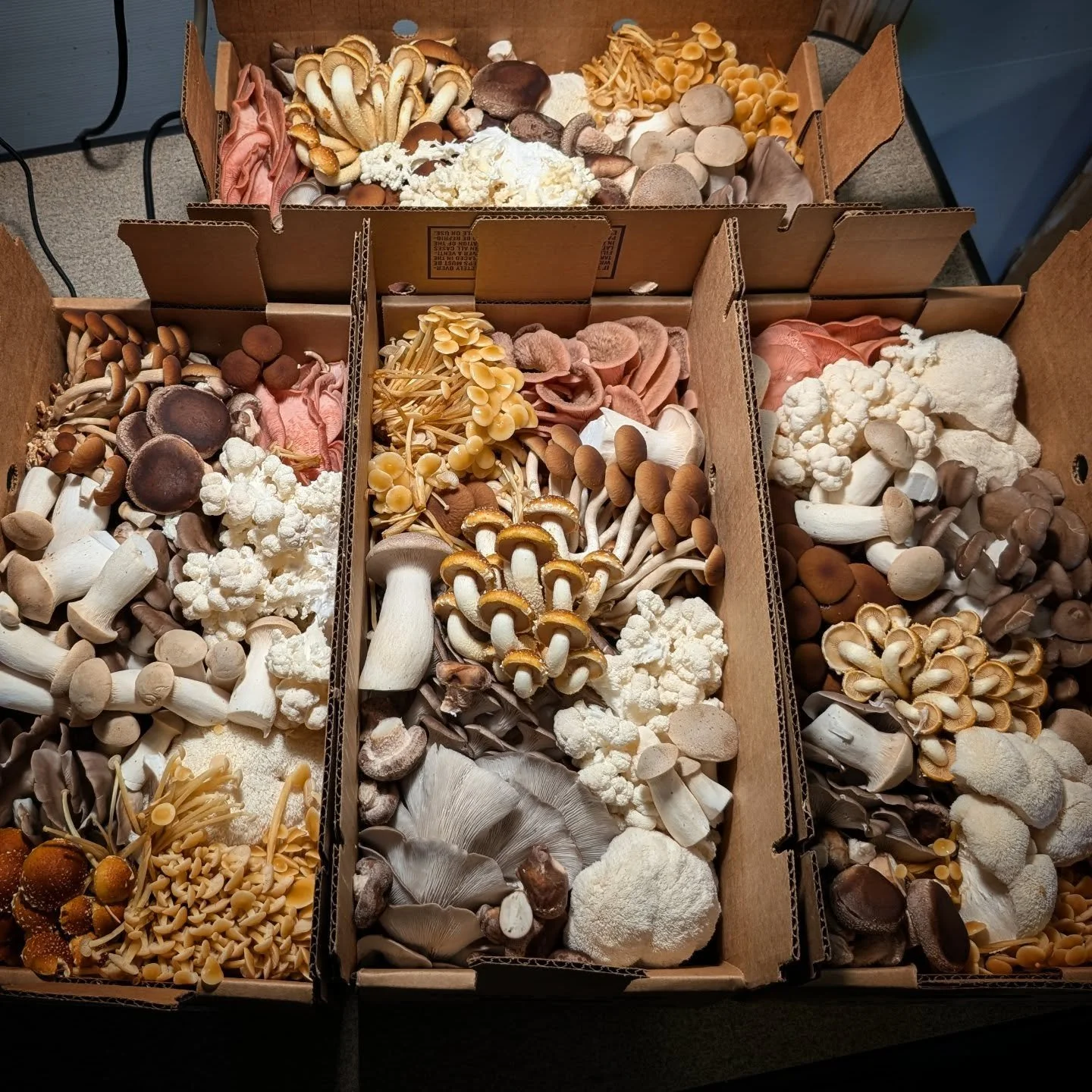 May= cool and warm varieties get to mingle together in the box and in yer belly