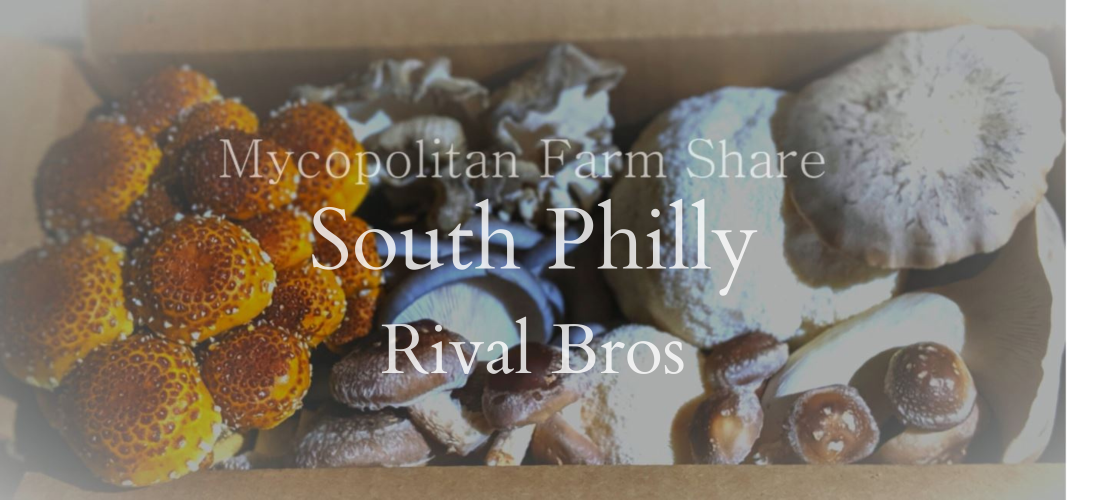 South Philly  (Rival Bros)