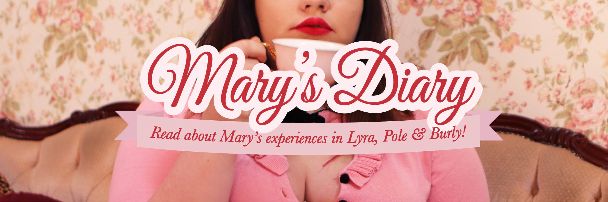marys-dary-banner.jpg