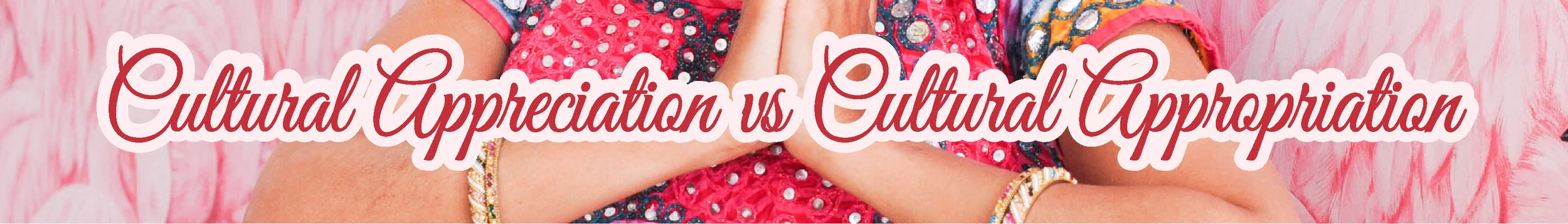 Cultural Appreciation Skinny banner.jpg