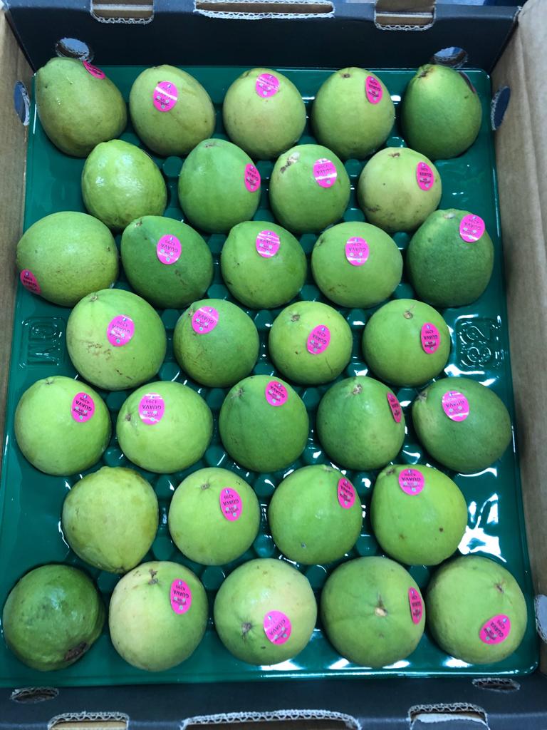pink-guava.jpeg