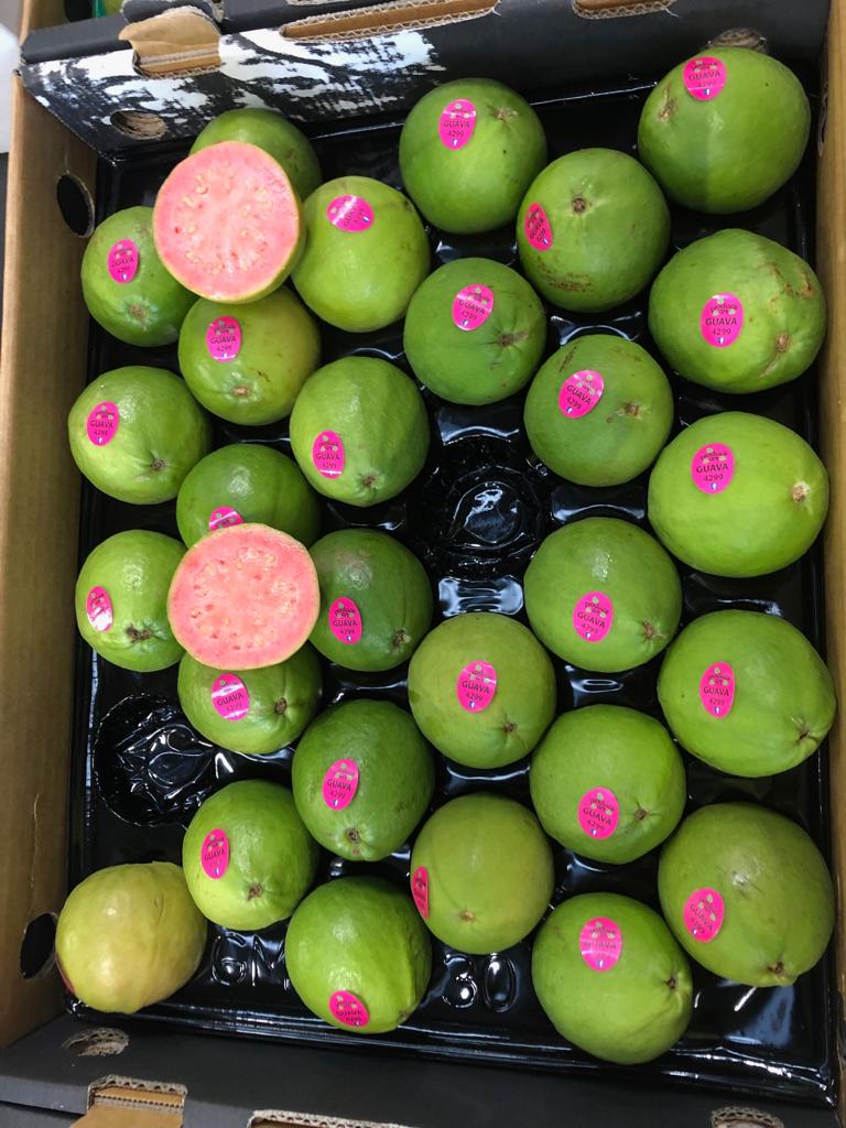 guava-cut.jpeg