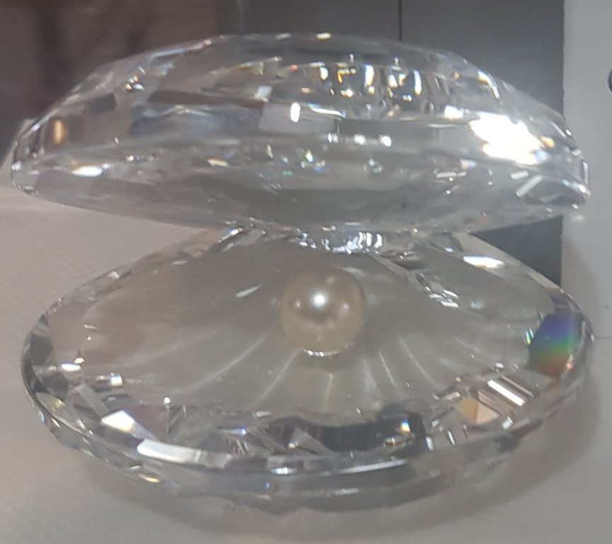 Oyster Shell with Pearl                  £70c.jpg