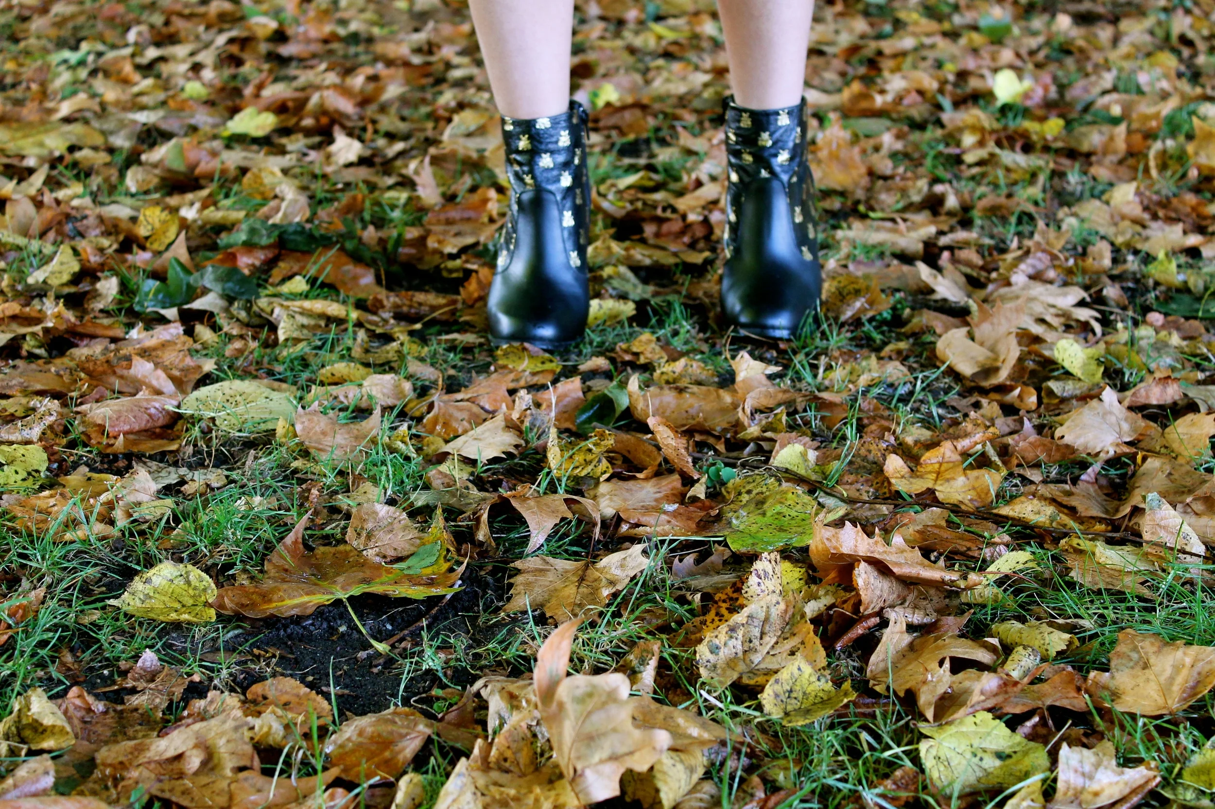 Autumn Essentials