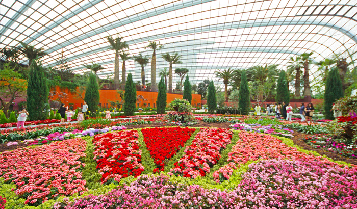 Flower-dome-Singapore.jpg