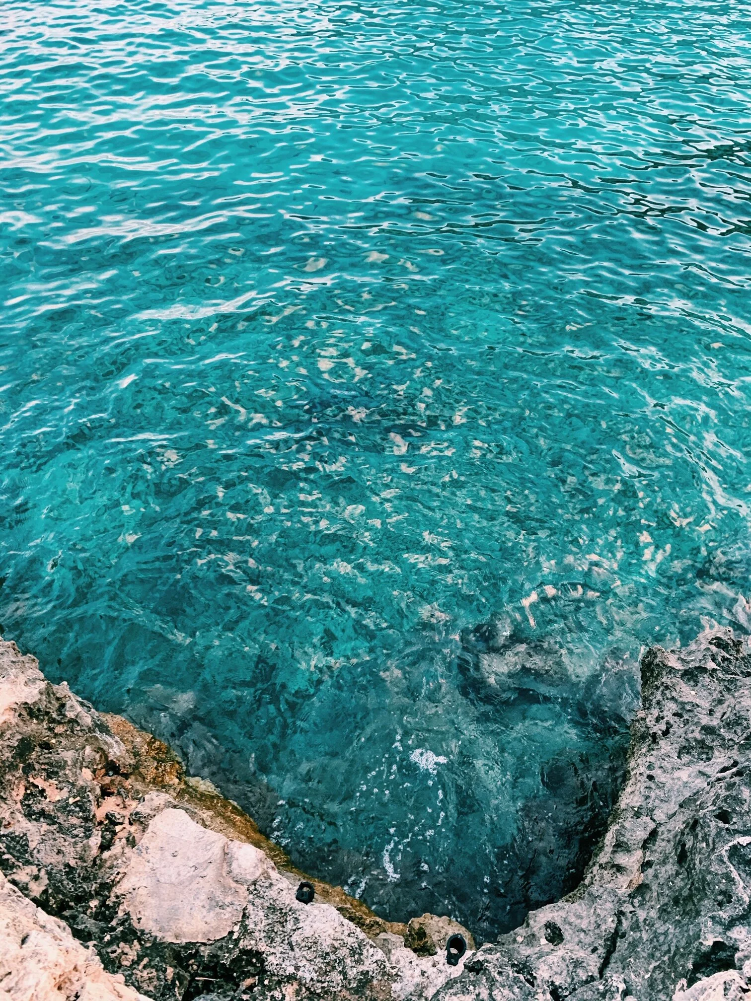 Caring for the Oceans