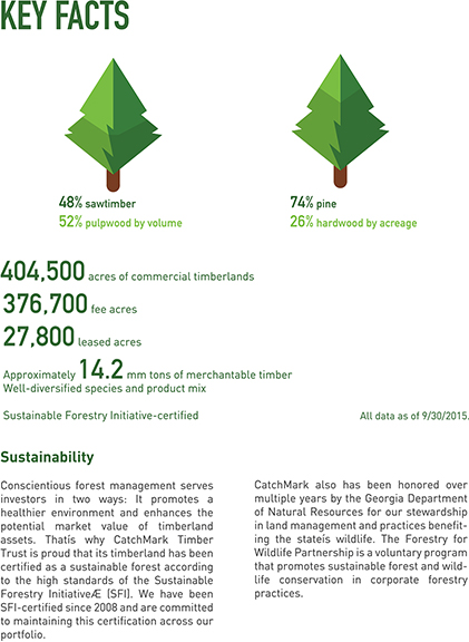 klara_michalska_annual_report_vector-3.jpg