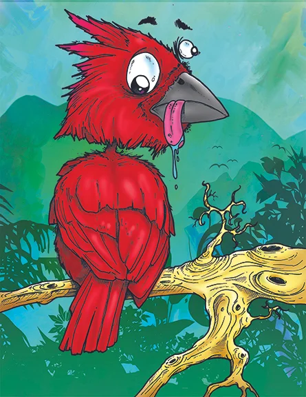CrazyCardinal.jpg