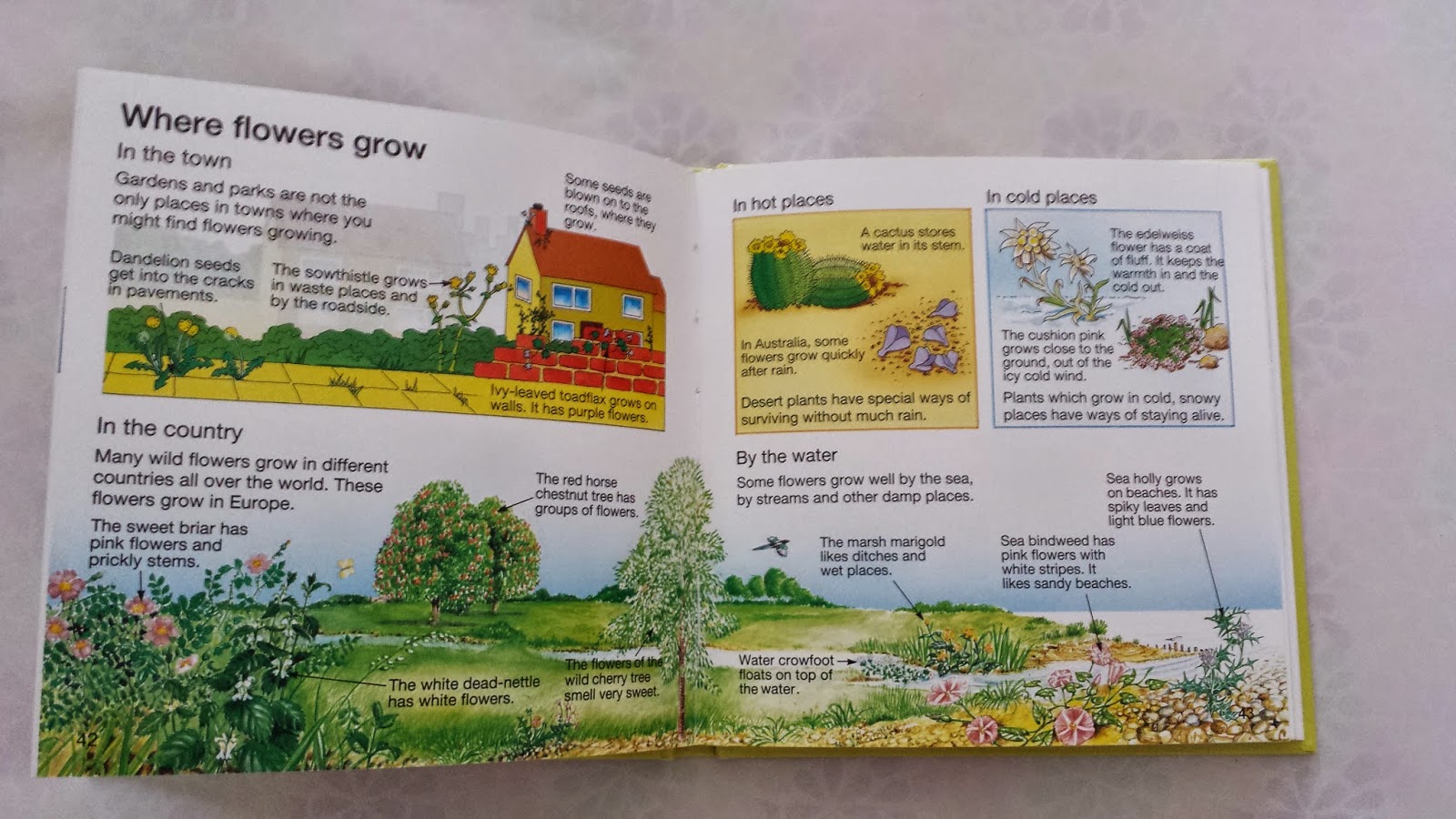 20141021_120228.jpg
