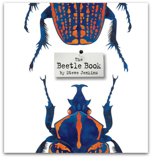 Beetle-Book-Cover.jpg