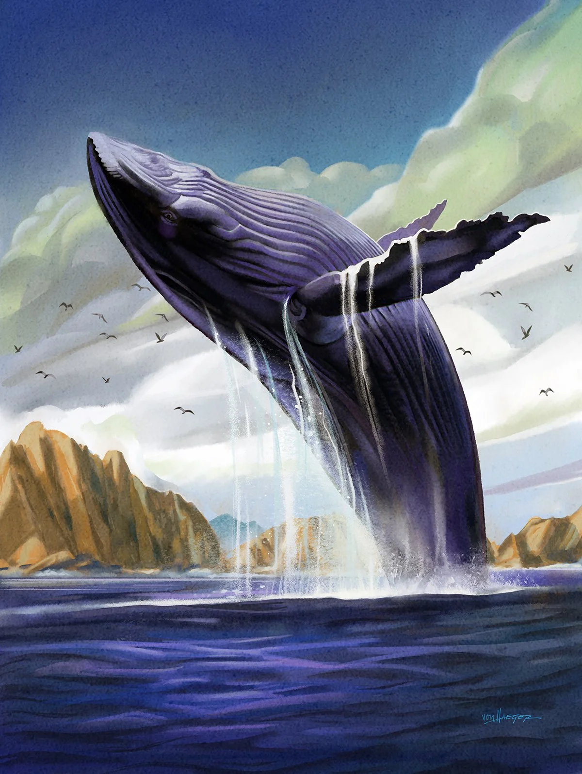 vonHaeger_Channel Islands_final art 4_small.jpg