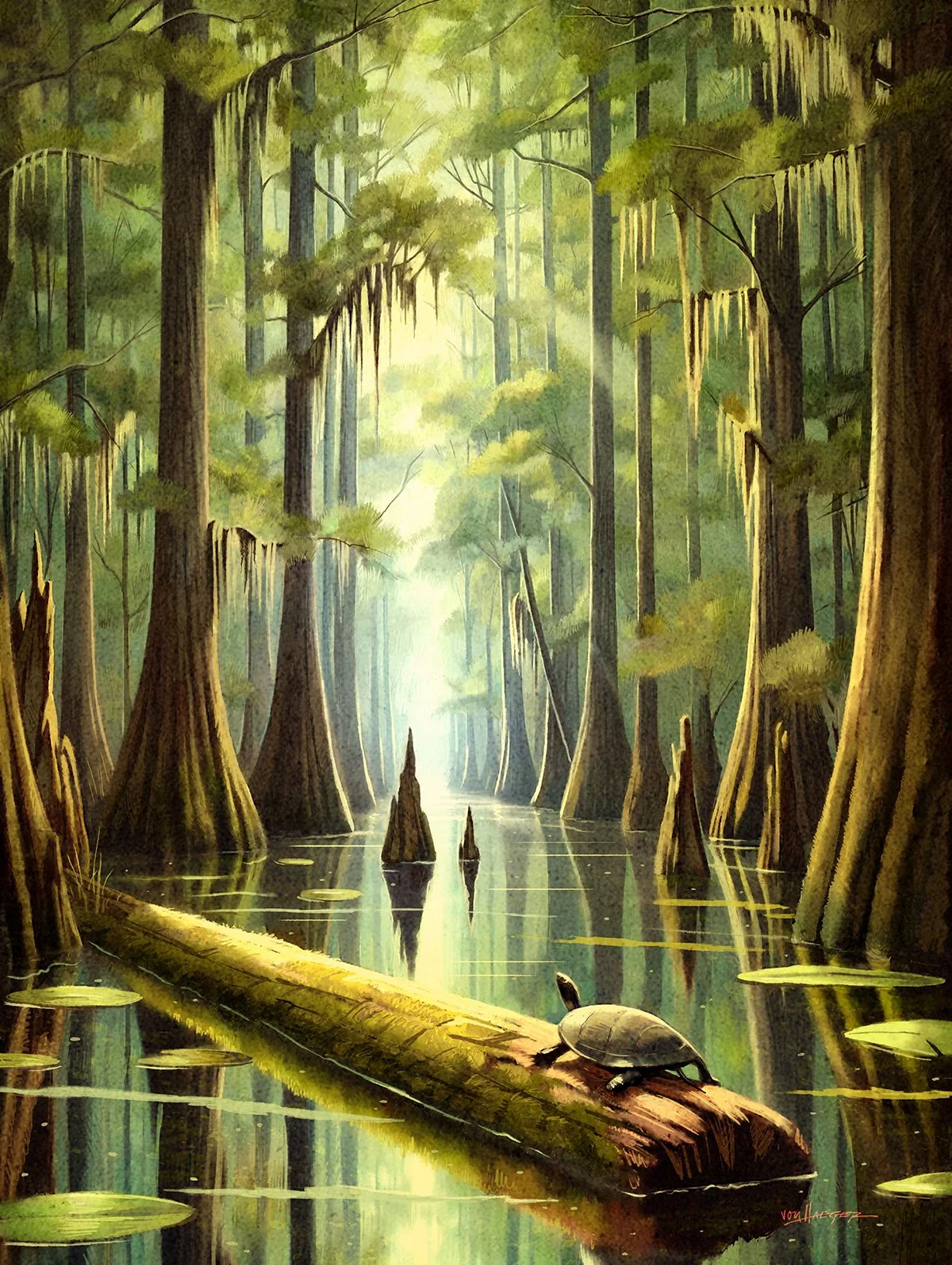 von Haeger_Congaree_final art 2_small.jpg