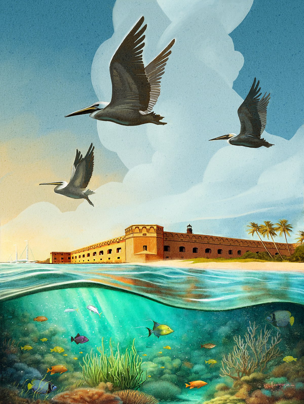von Haeger_Dry Tortugas_final art_small.jpg