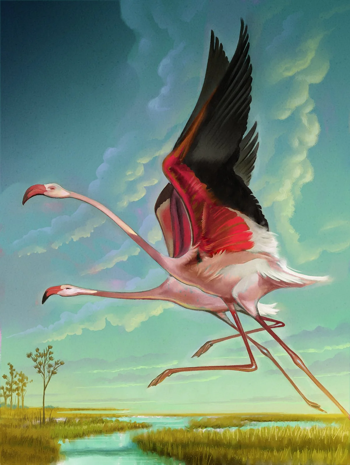 vonHaeger_everglades_final art_small.jpg