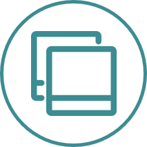    Capability mapping     Identifying gaps in workforce capability 