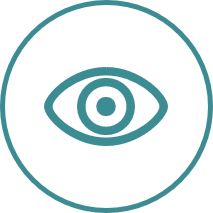Vision and strategy Case for change, vision, business case and strategy development