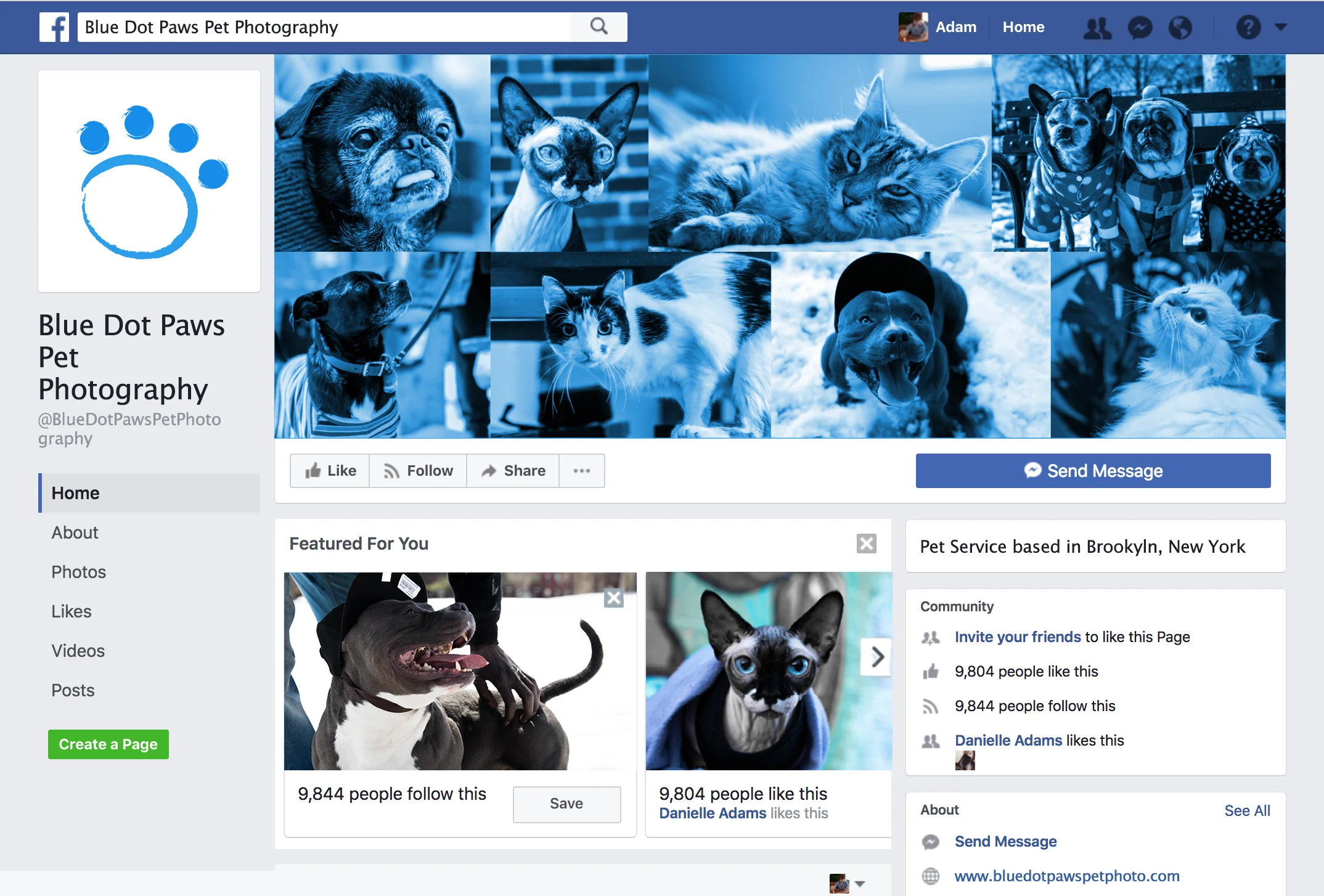 Blue Dot Paws Facebook Page Mock-Up