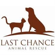 Last Chance.jpeg
