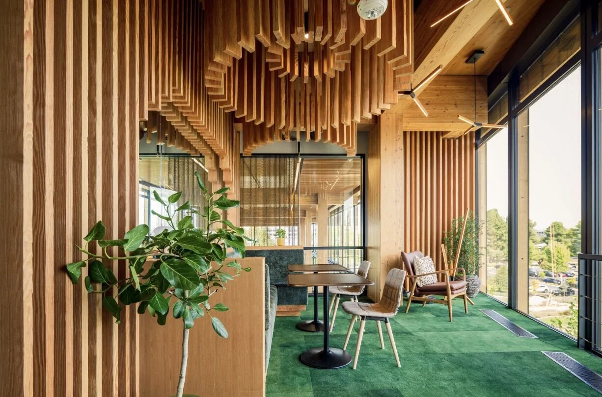 Mass Timber c.jpeg