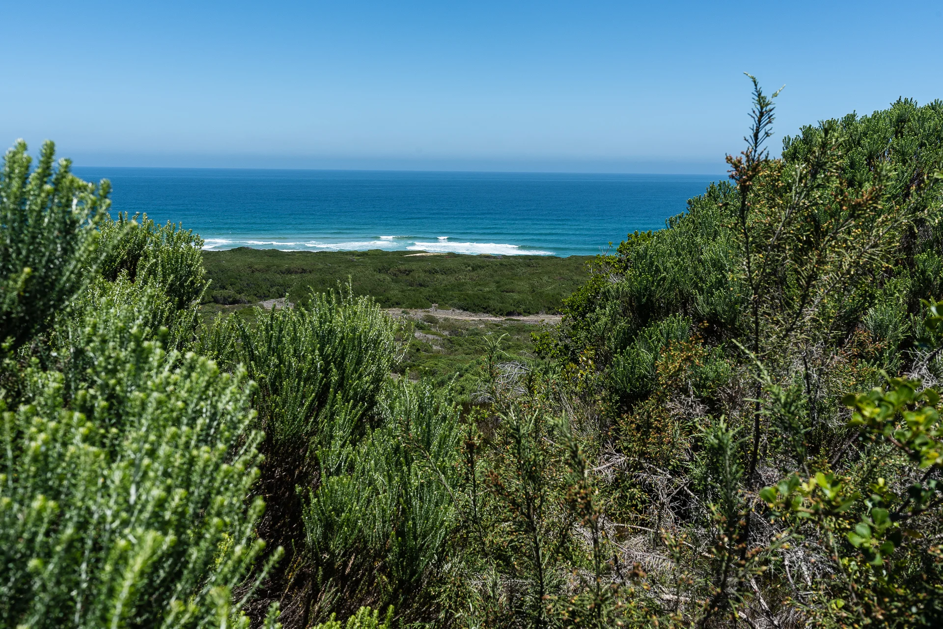 Goukamma Nature Reserve, South Africa