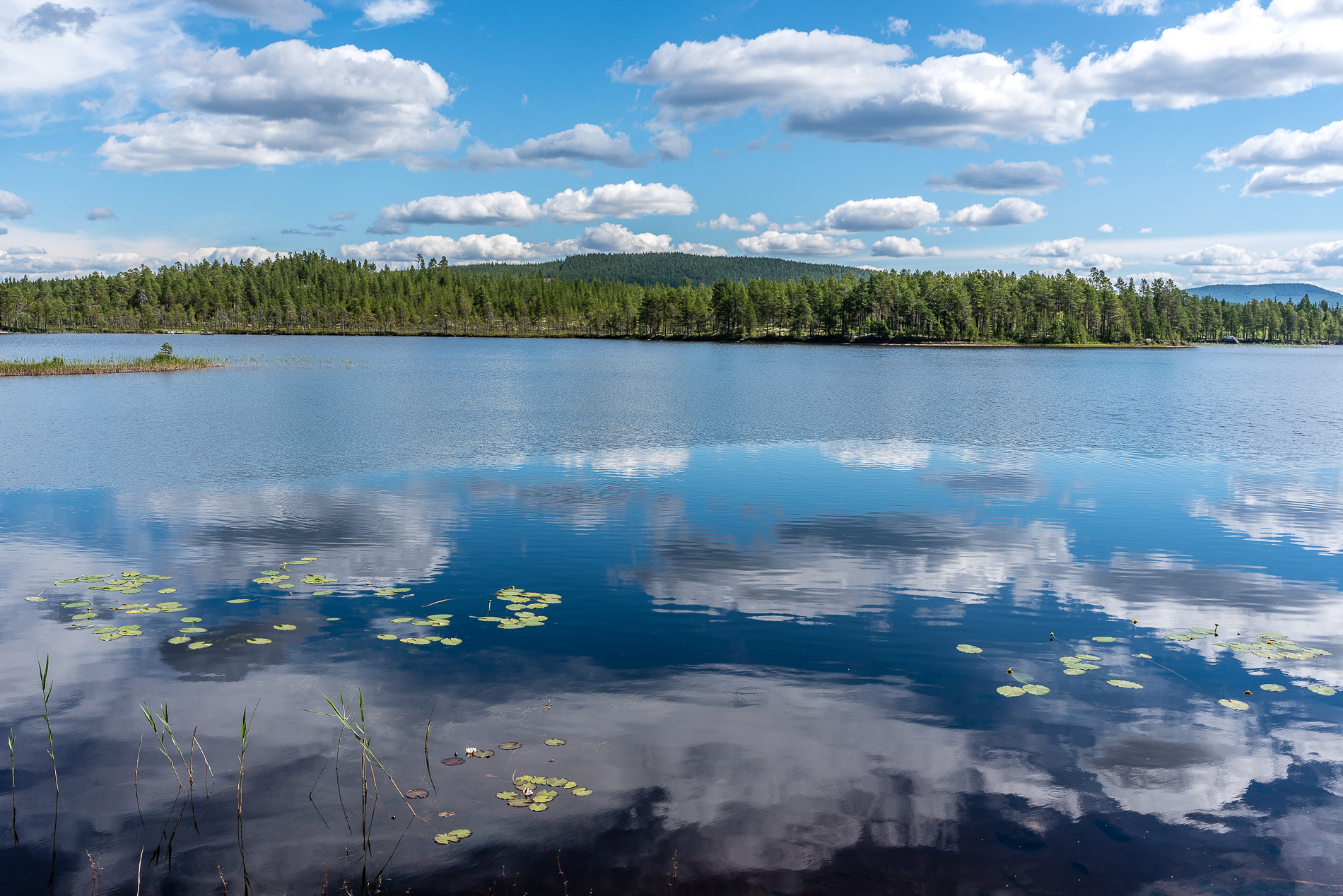 Lake view, Sweden
