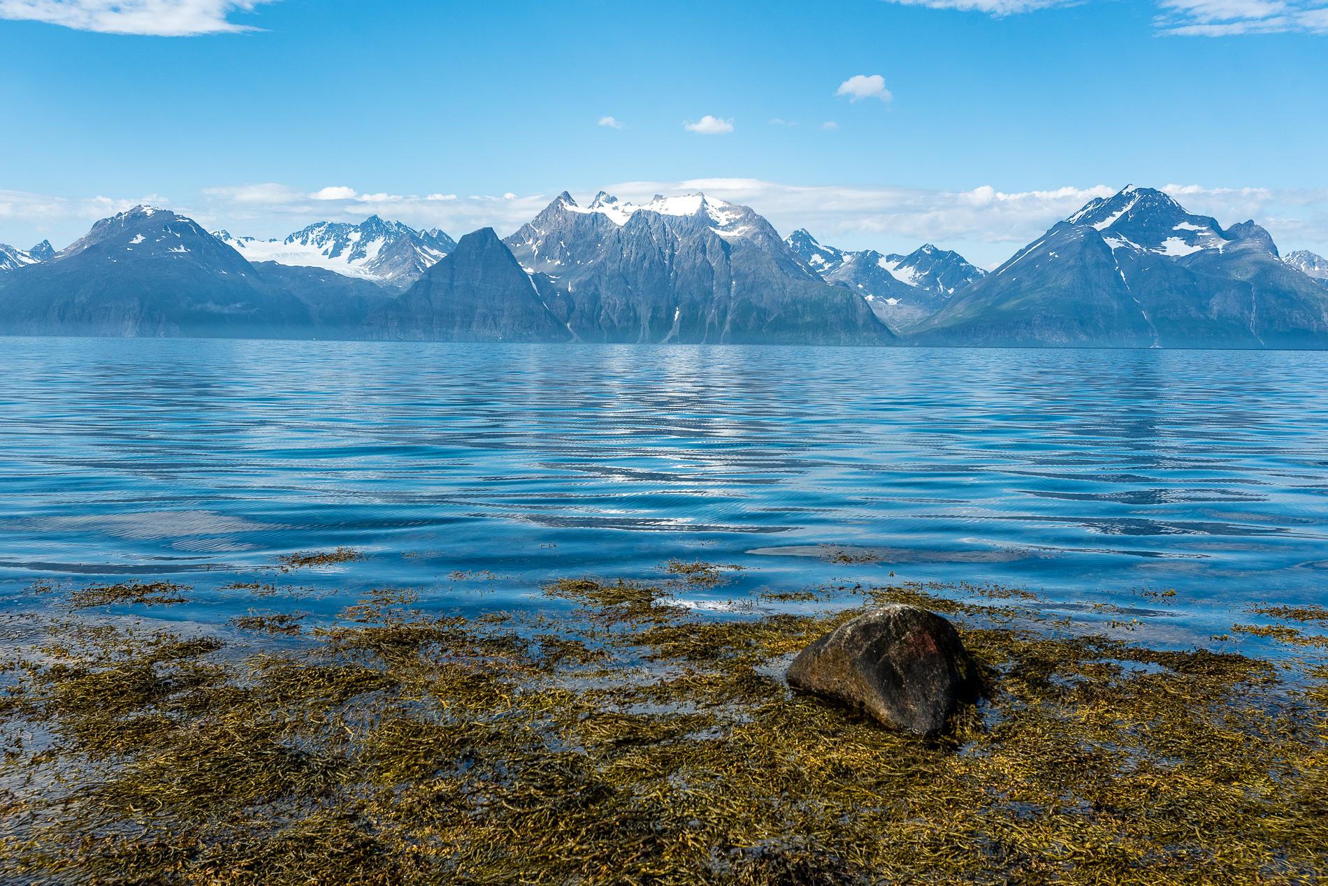 Fjord Landscape, Norway