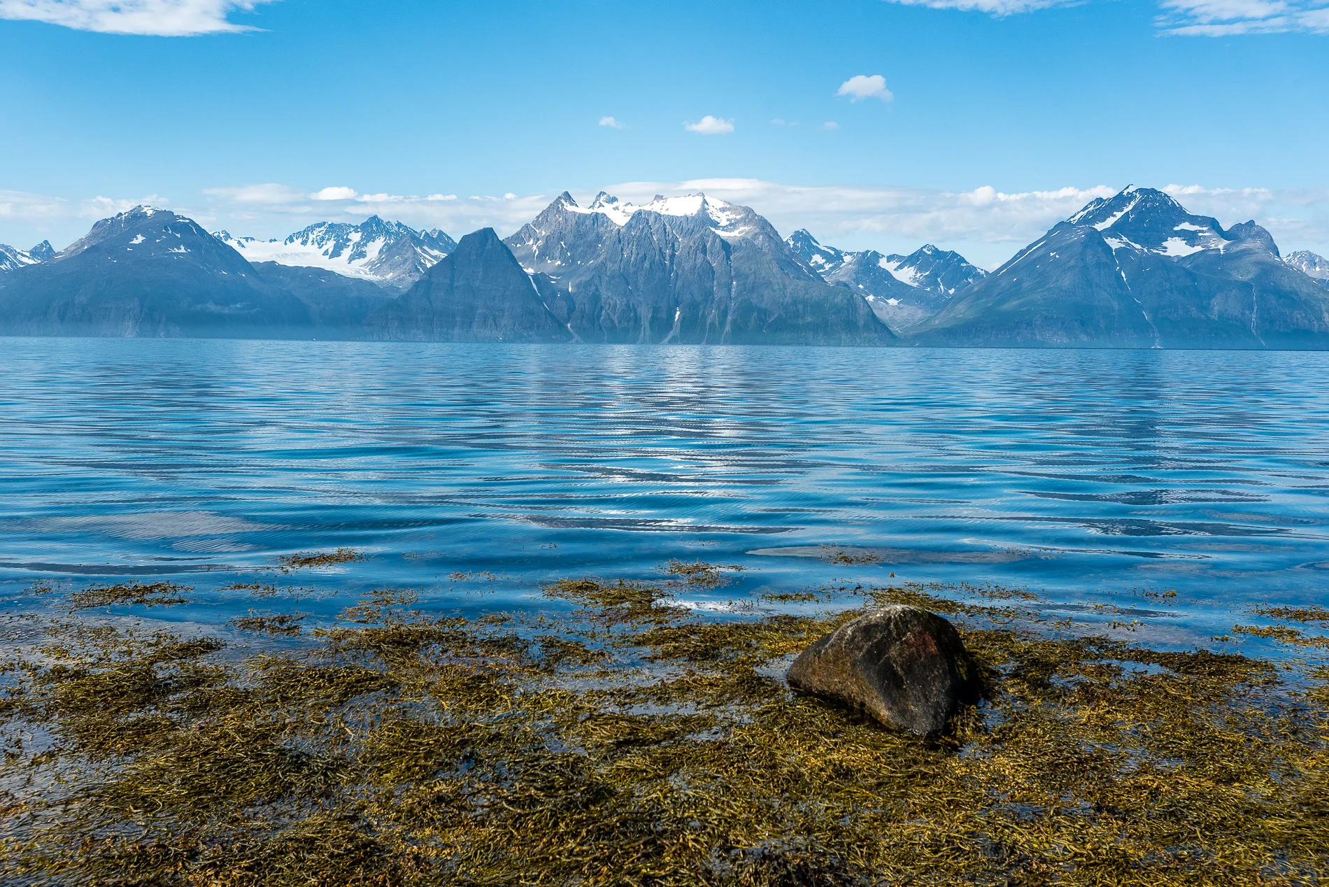Fjord Landscape, Norway