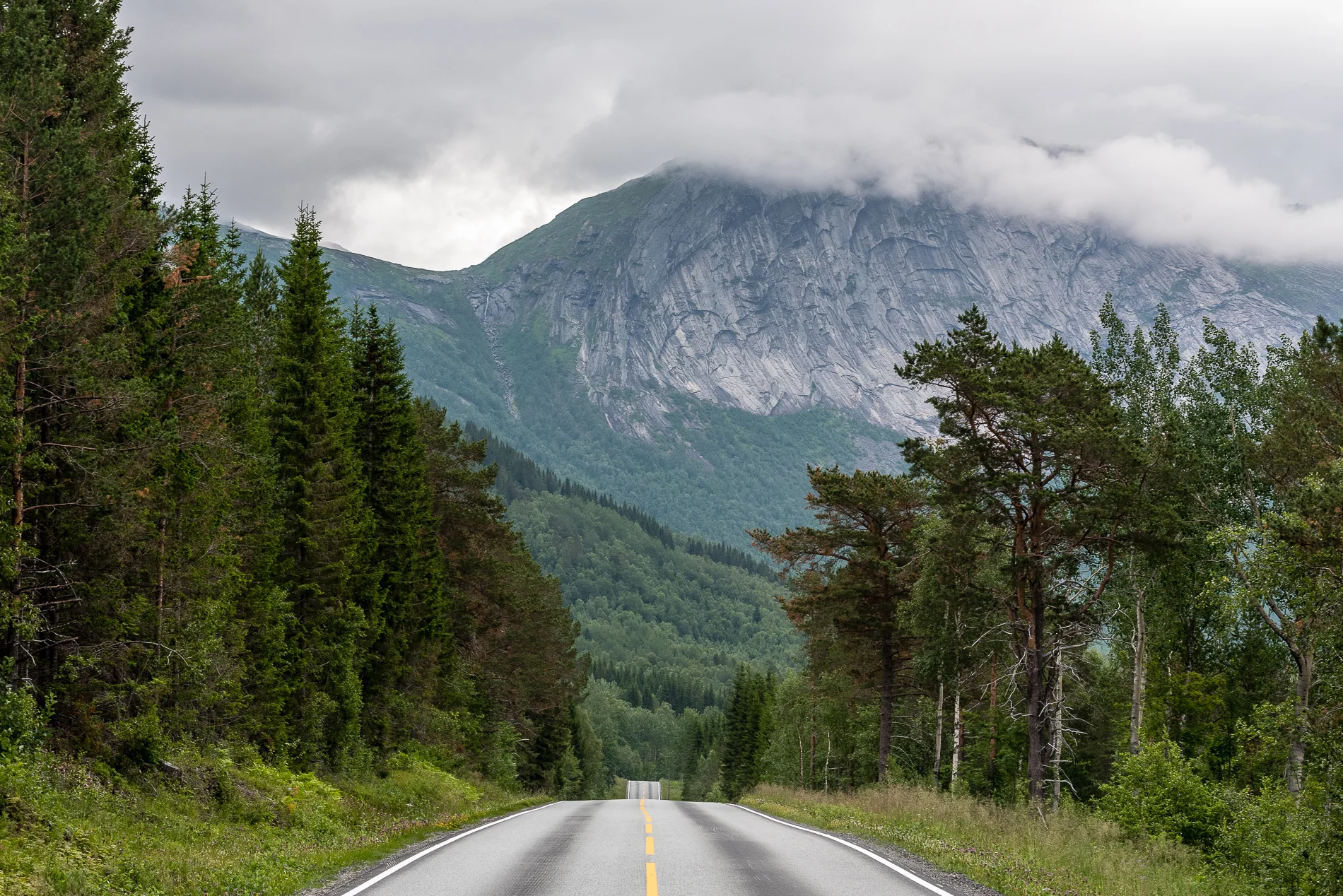 Carry On, Norway
