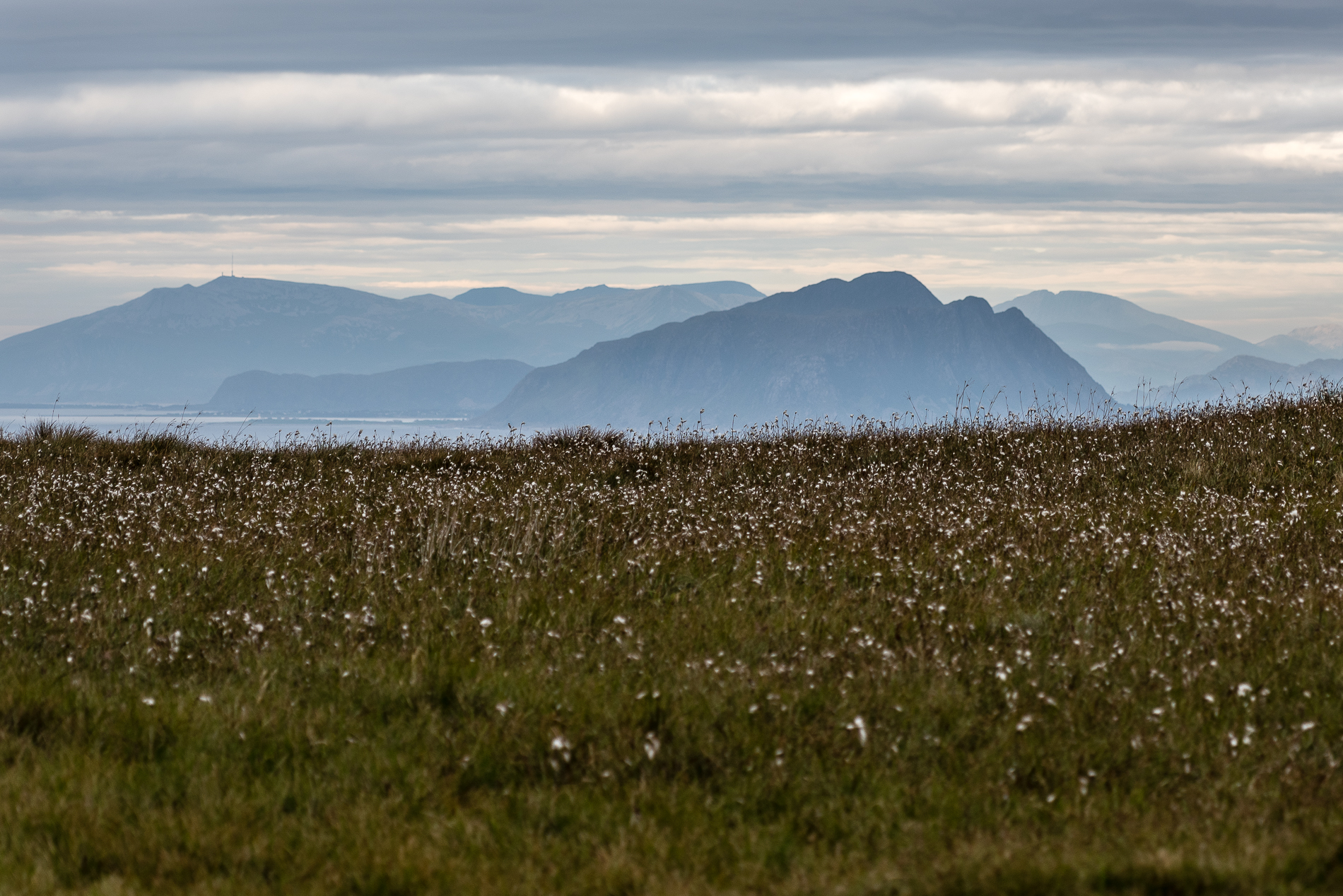 Runde, Bird Island