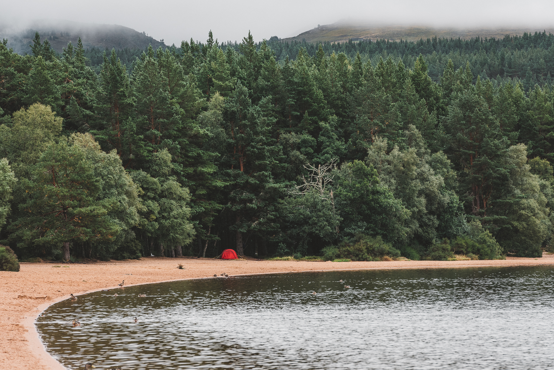 Loch Morlich, Scotland