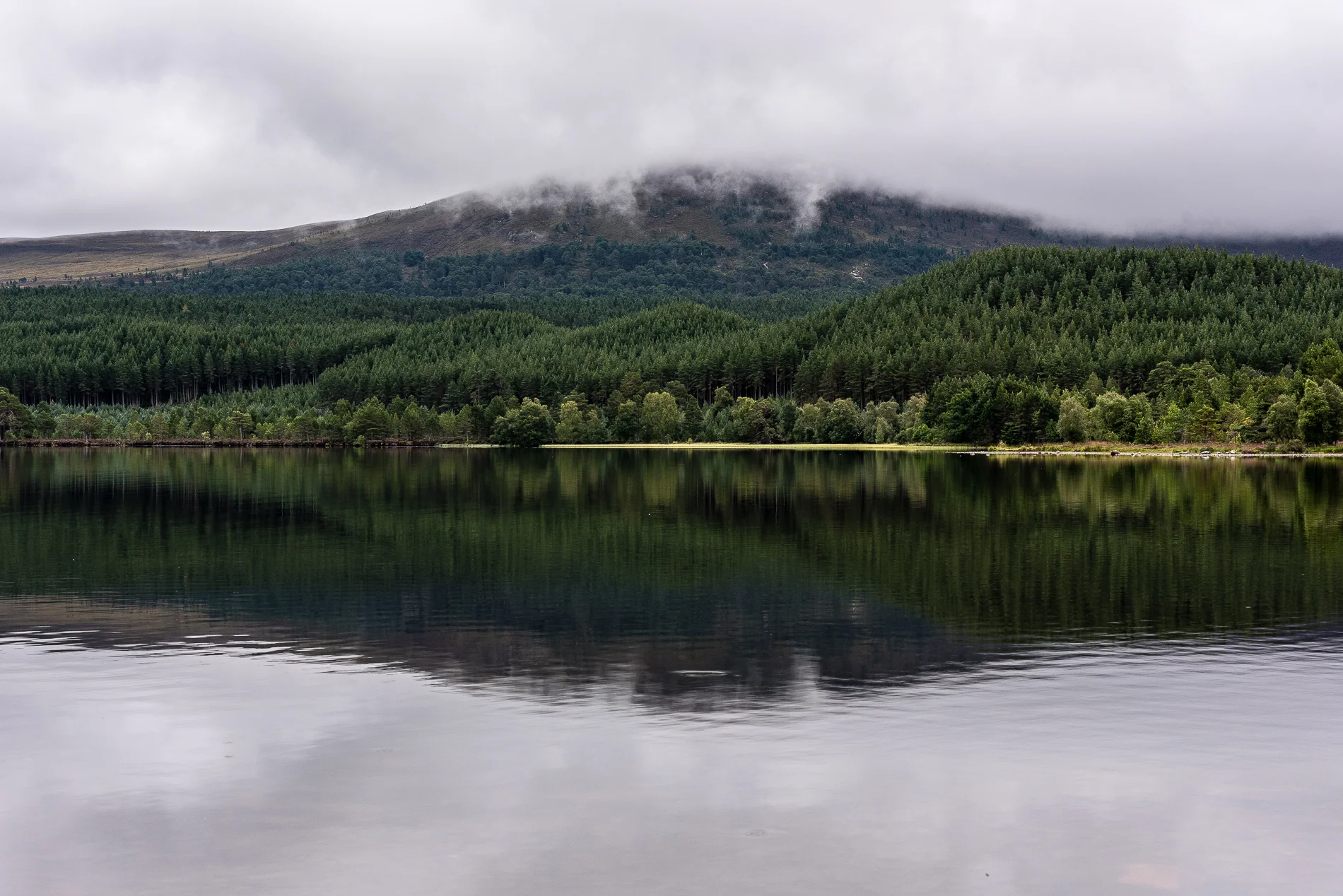 Loch Morlich, Scotland