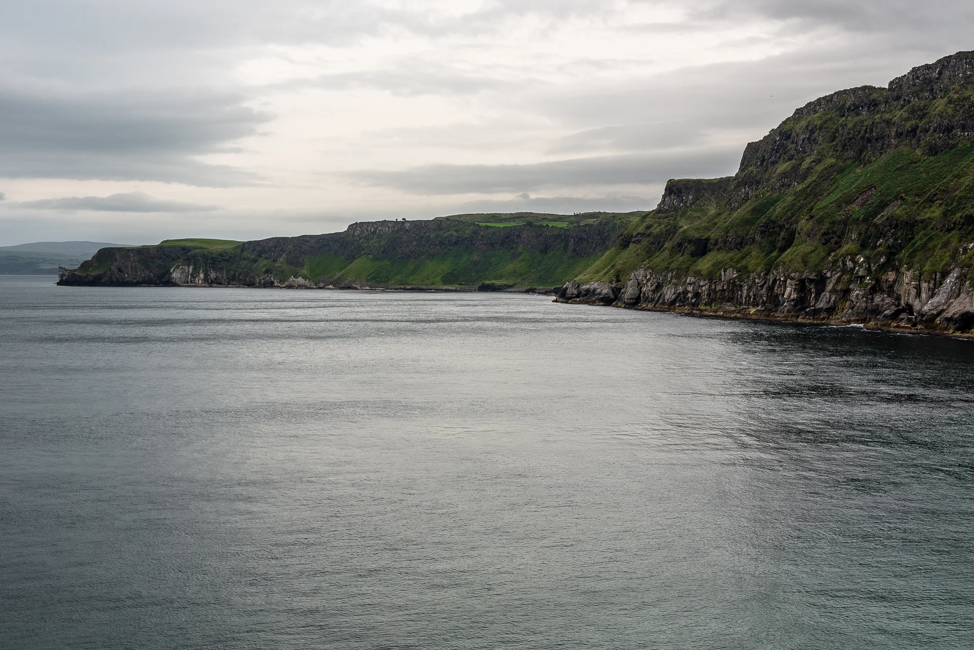 DSC_8586-2.jpg