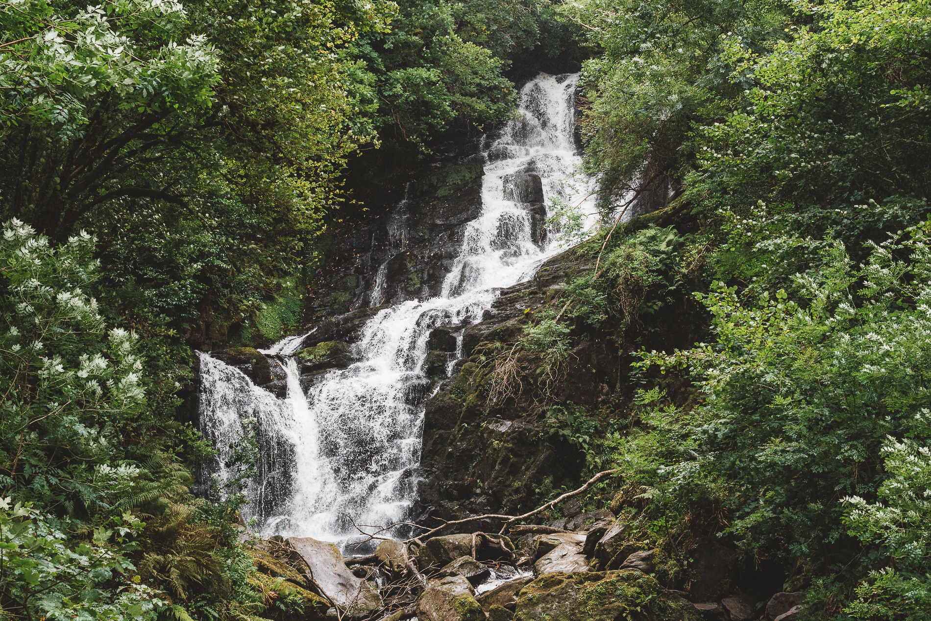 Torc Waterfall, Killarney, Ireland