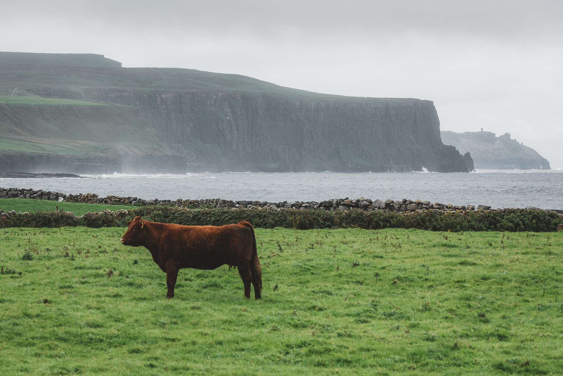 Cliffs of Moher, Ireland