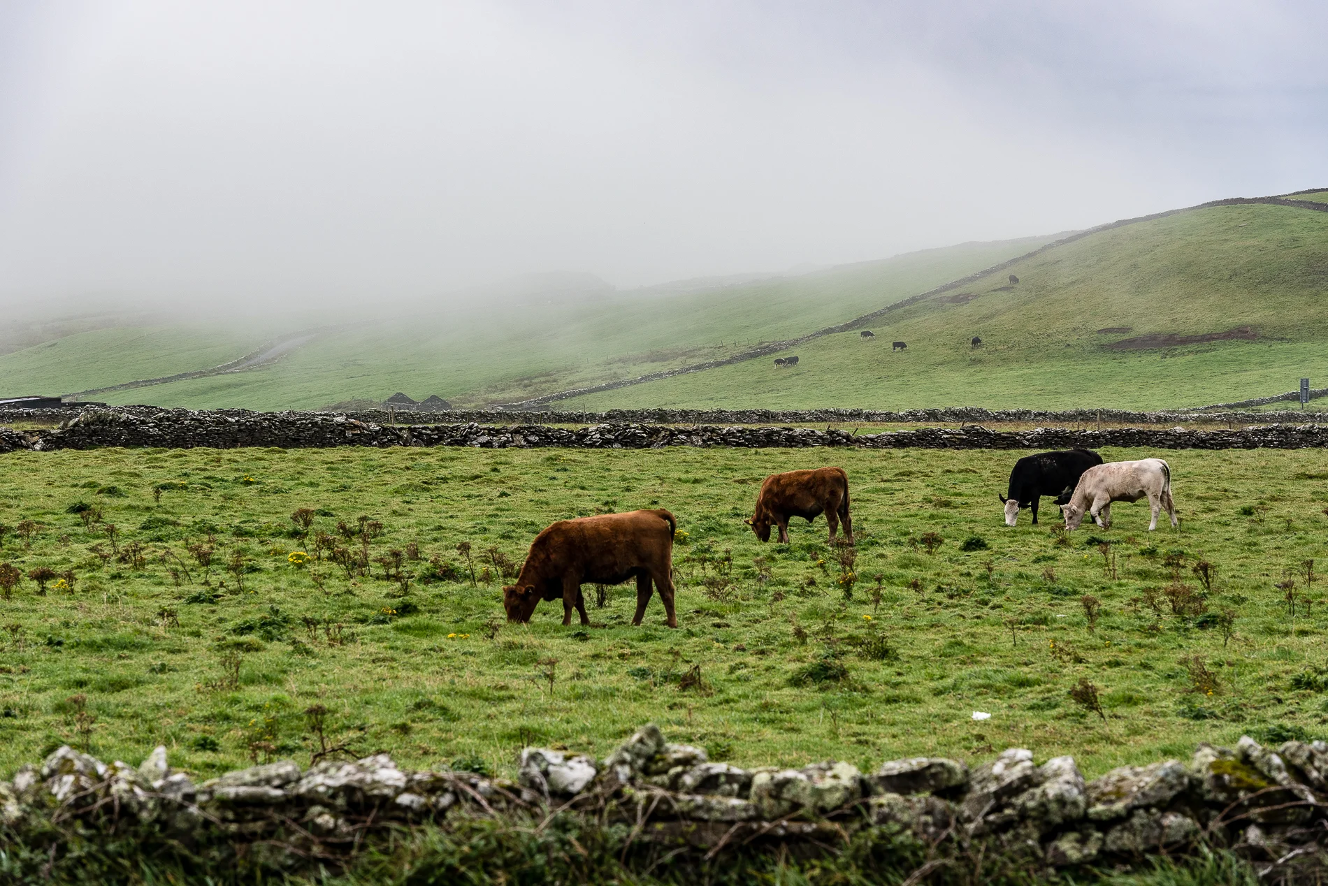 Landscape, Ireland