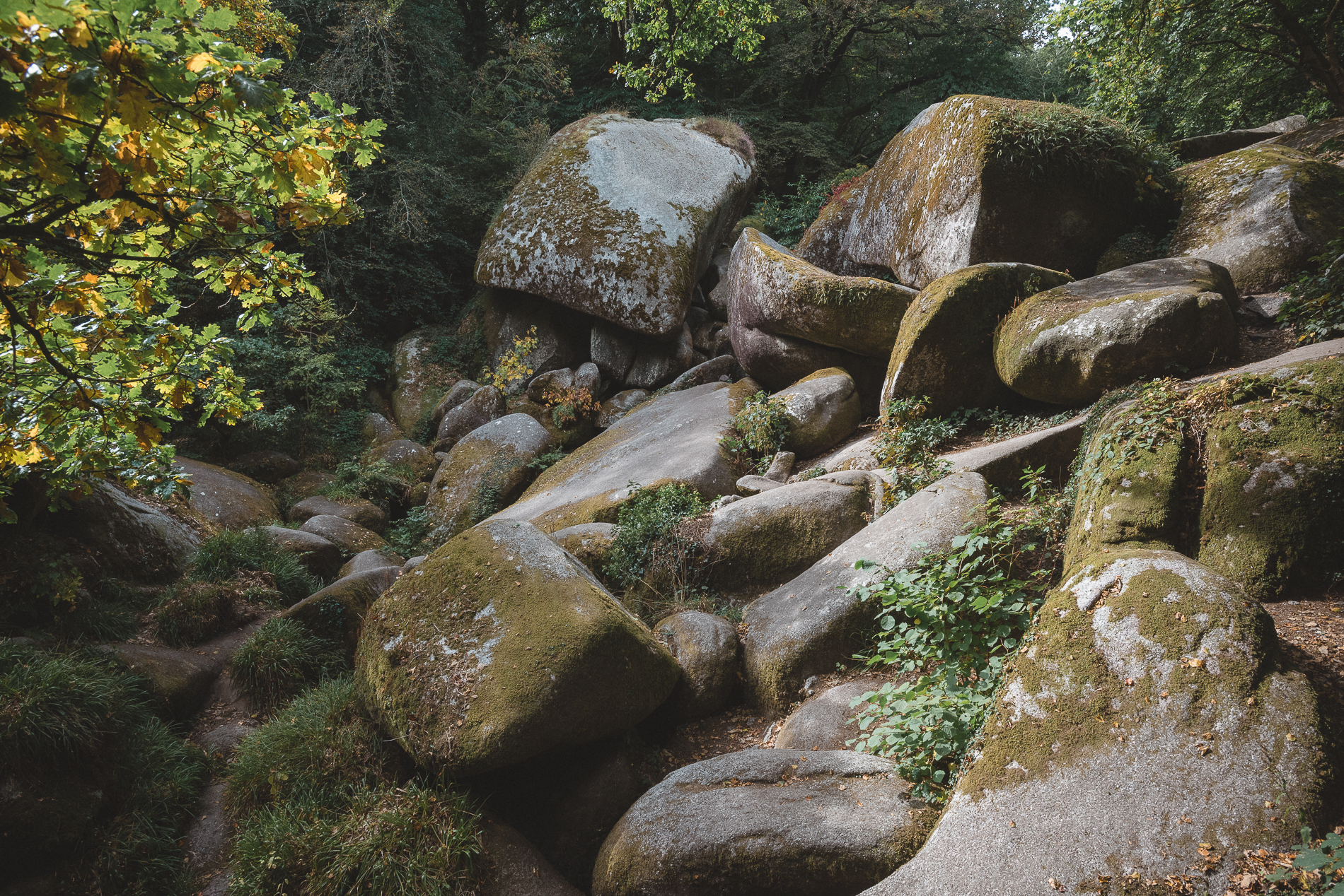 Huelgoat forest, Brittany