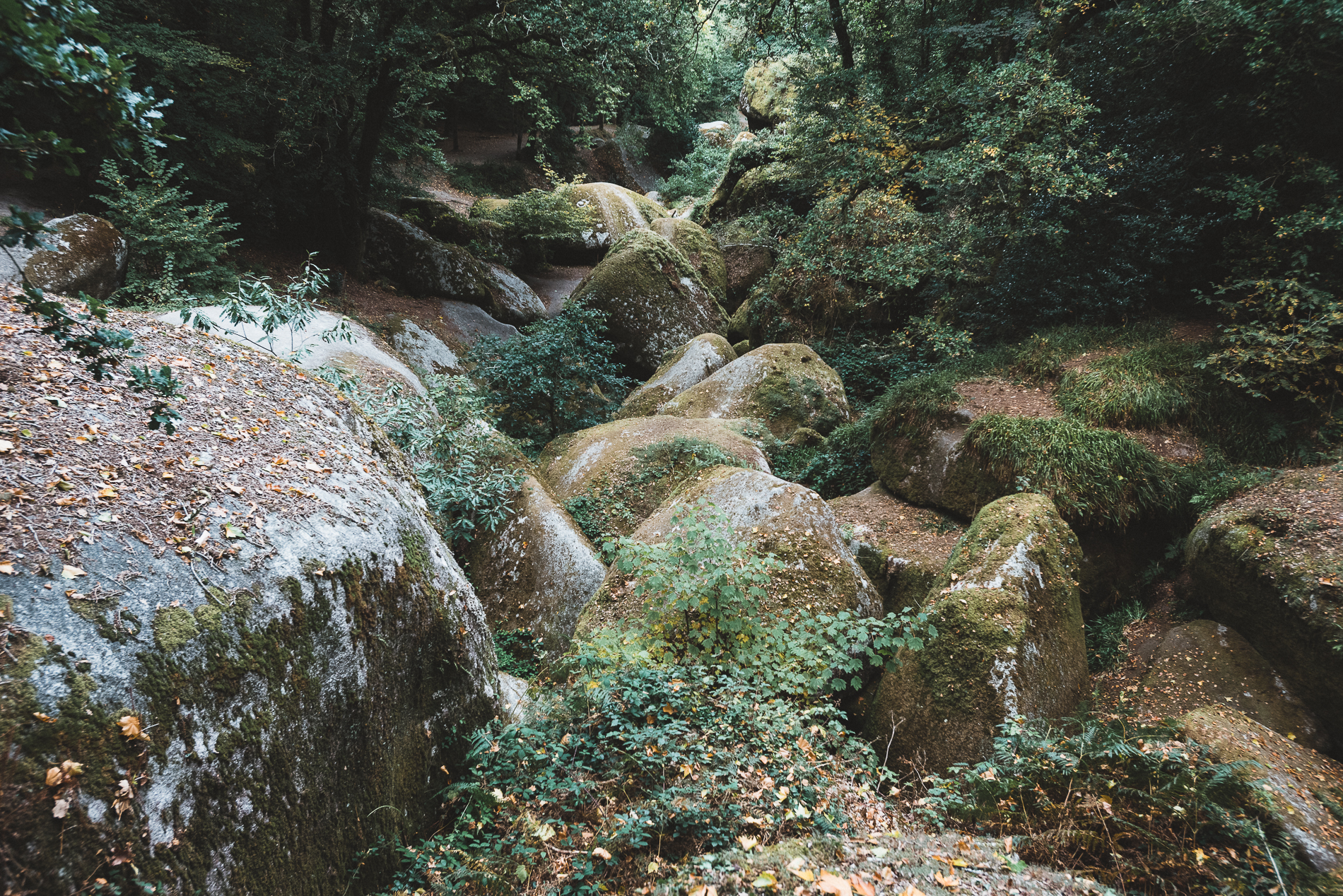 Huelgoat forest, Brittany