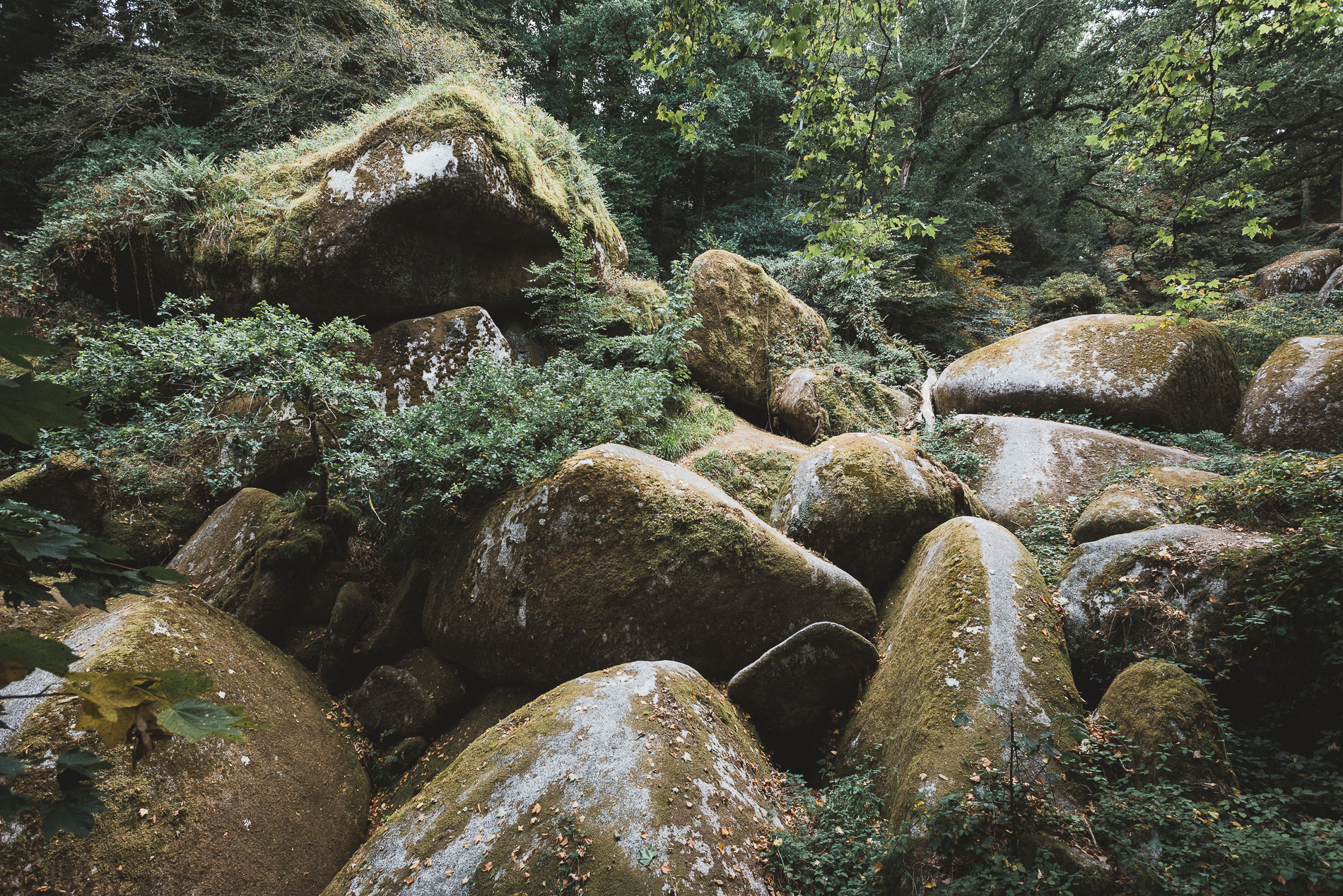 Huelgoat forest, Brittany