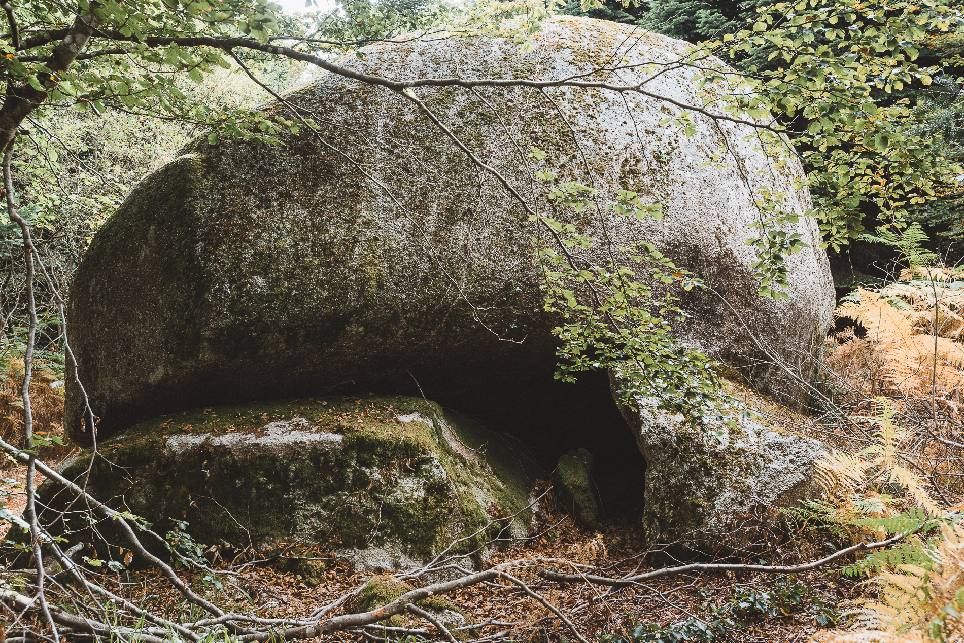 Huelgoat forest, Brittany