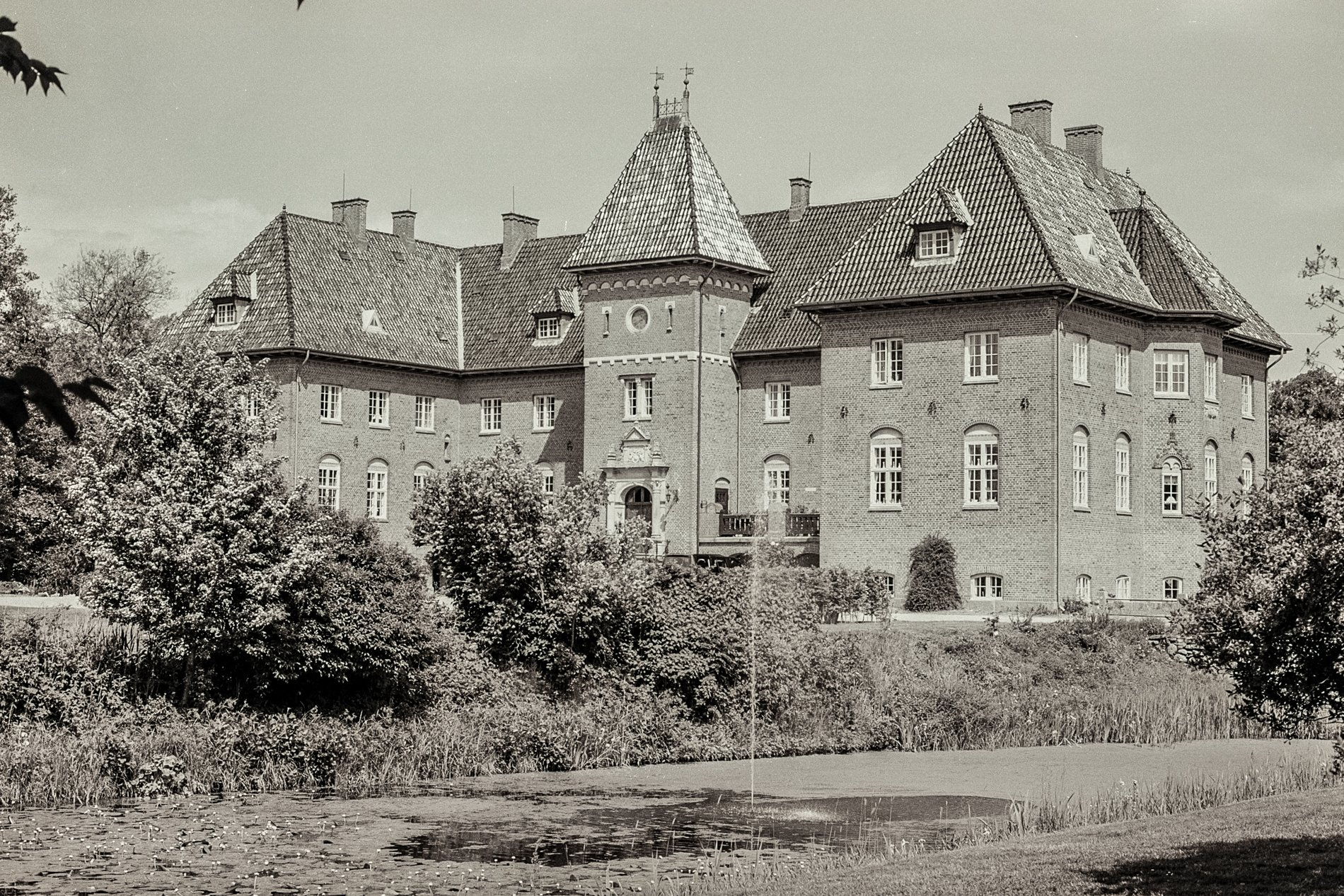 d98b7-26.jpg