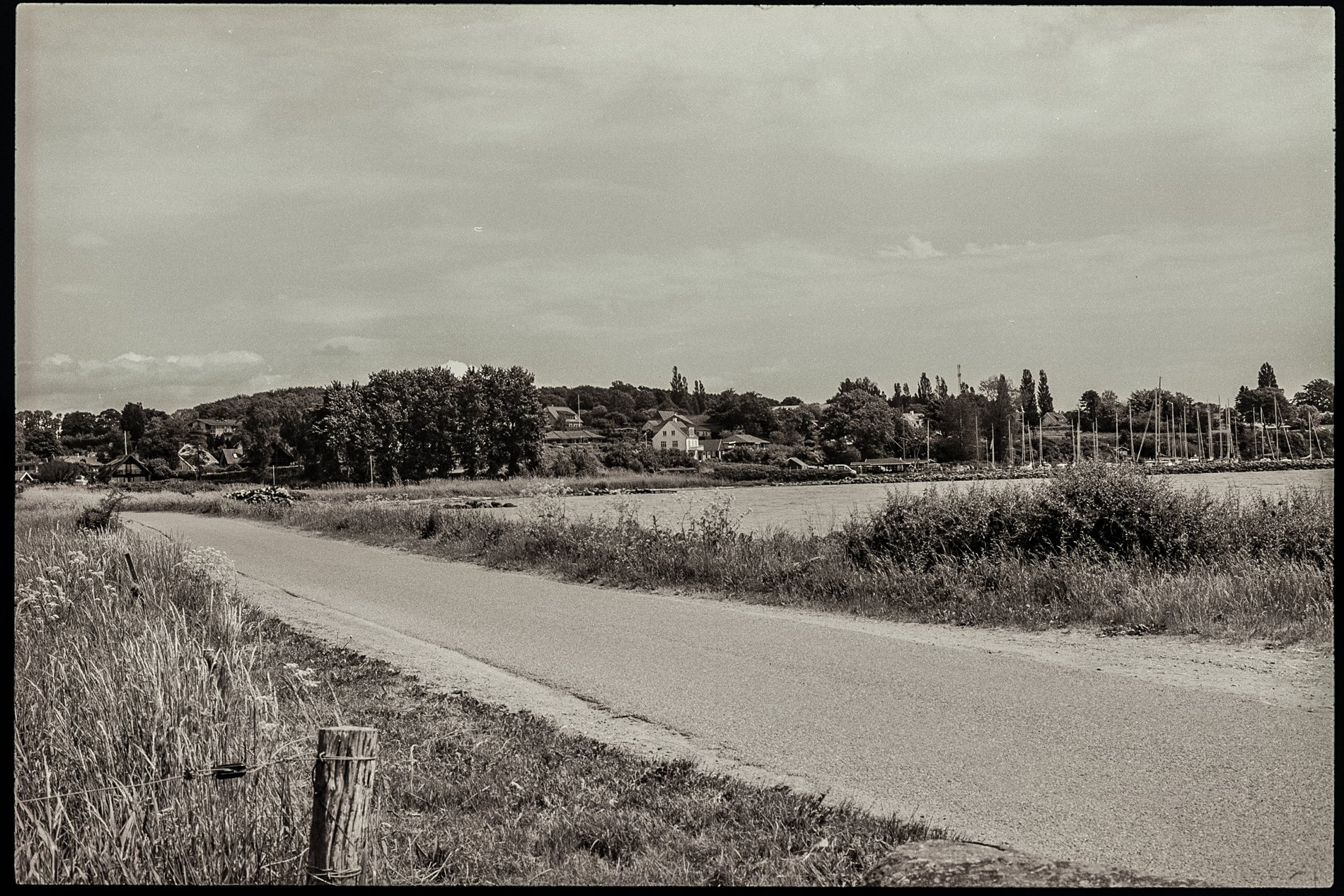 d98b7-27.jpg