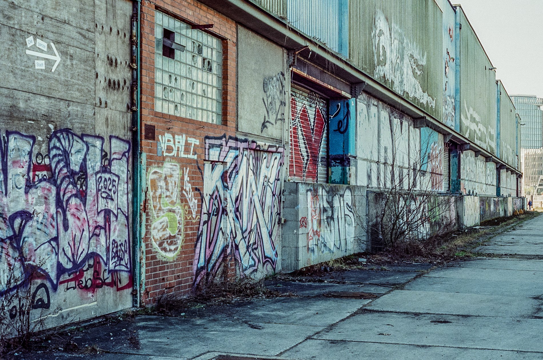 Graffiti on the walls of an abandoned building with a chain link fence, glass blocks, and a mural of a lion.