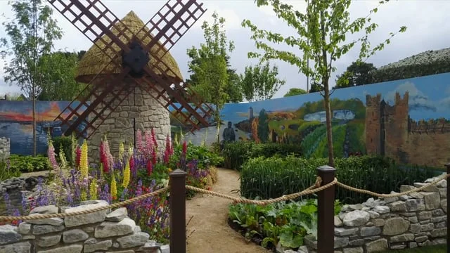 BLOOM 2017 // ITB & Fingal CC