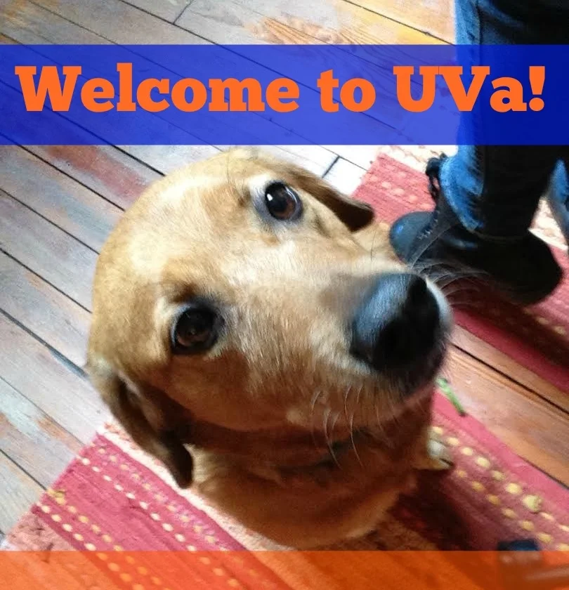 Ginger Welcome to UVa.jpg