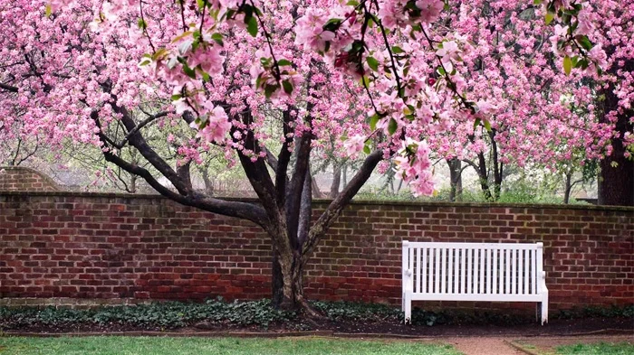 pavilion+garden.jpg