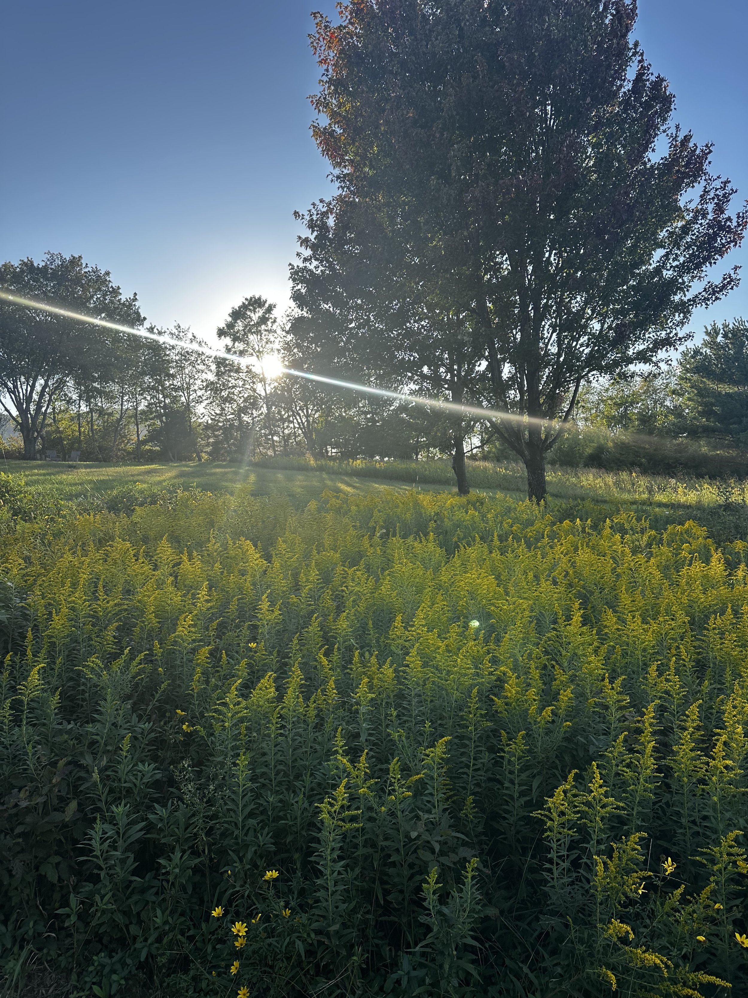October Prayers | When breath becomes prayer