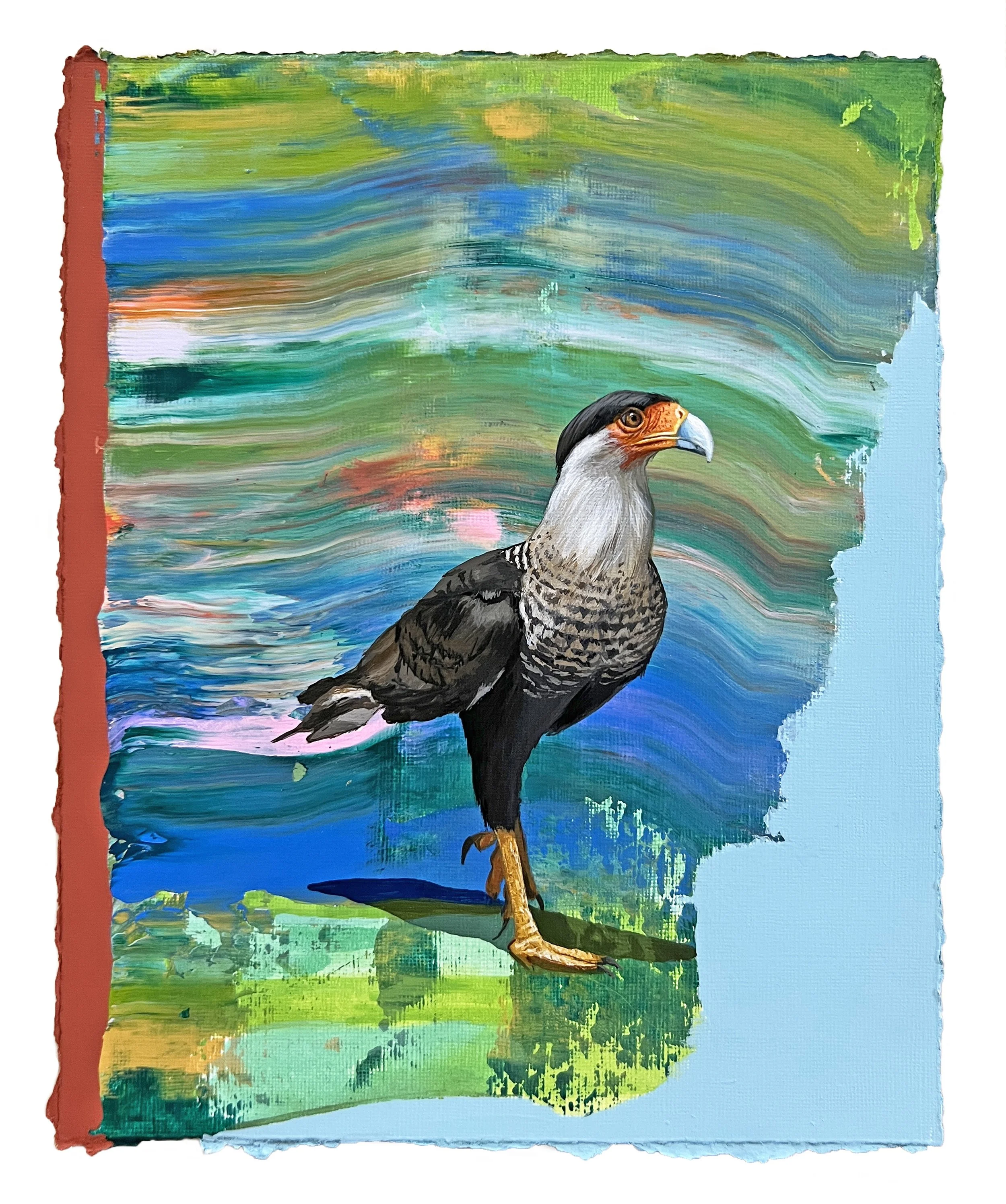 CrestedCaracara8x10paper.jpg