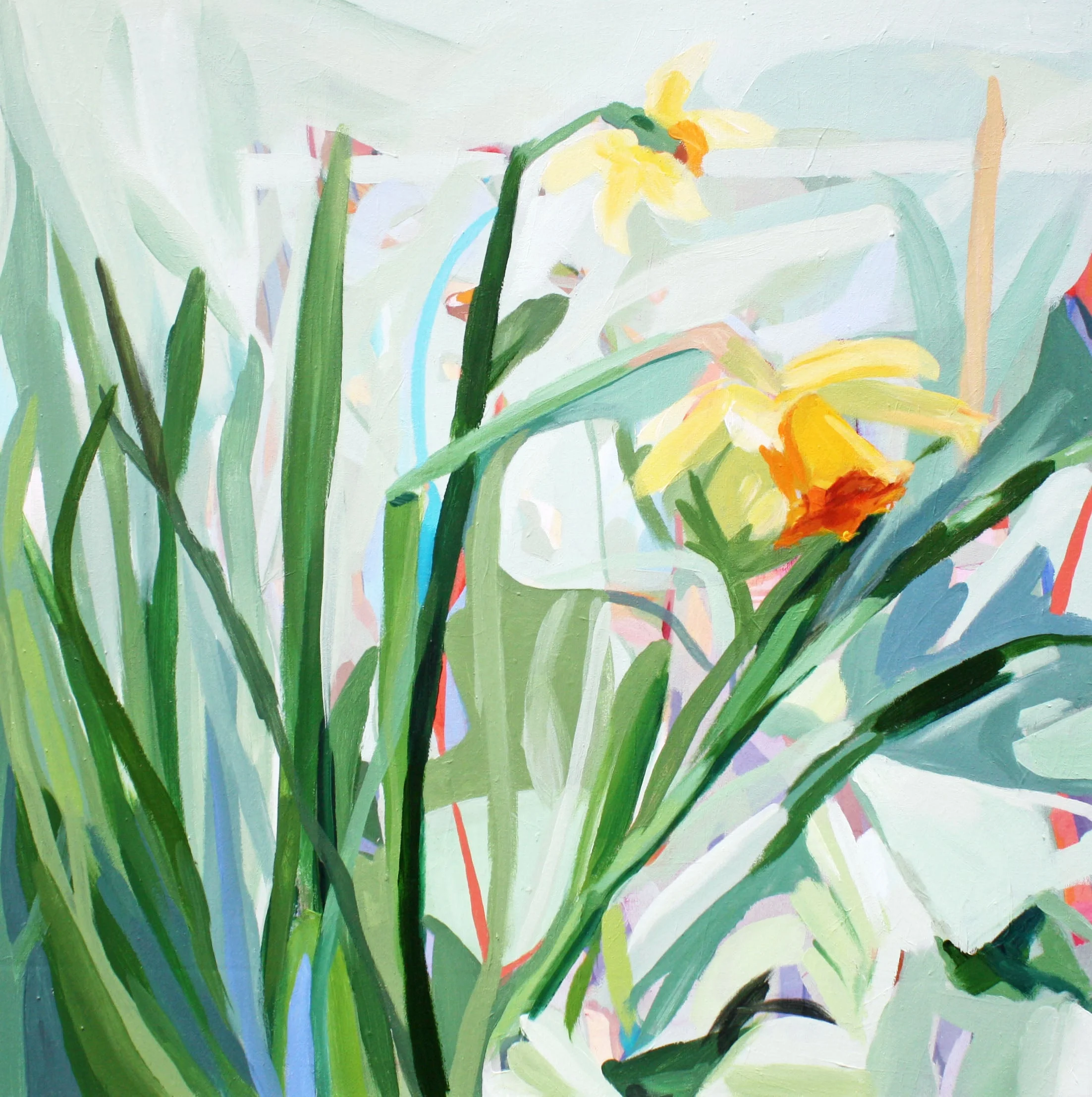 daffodil, 16 x 16 acrylic on panel