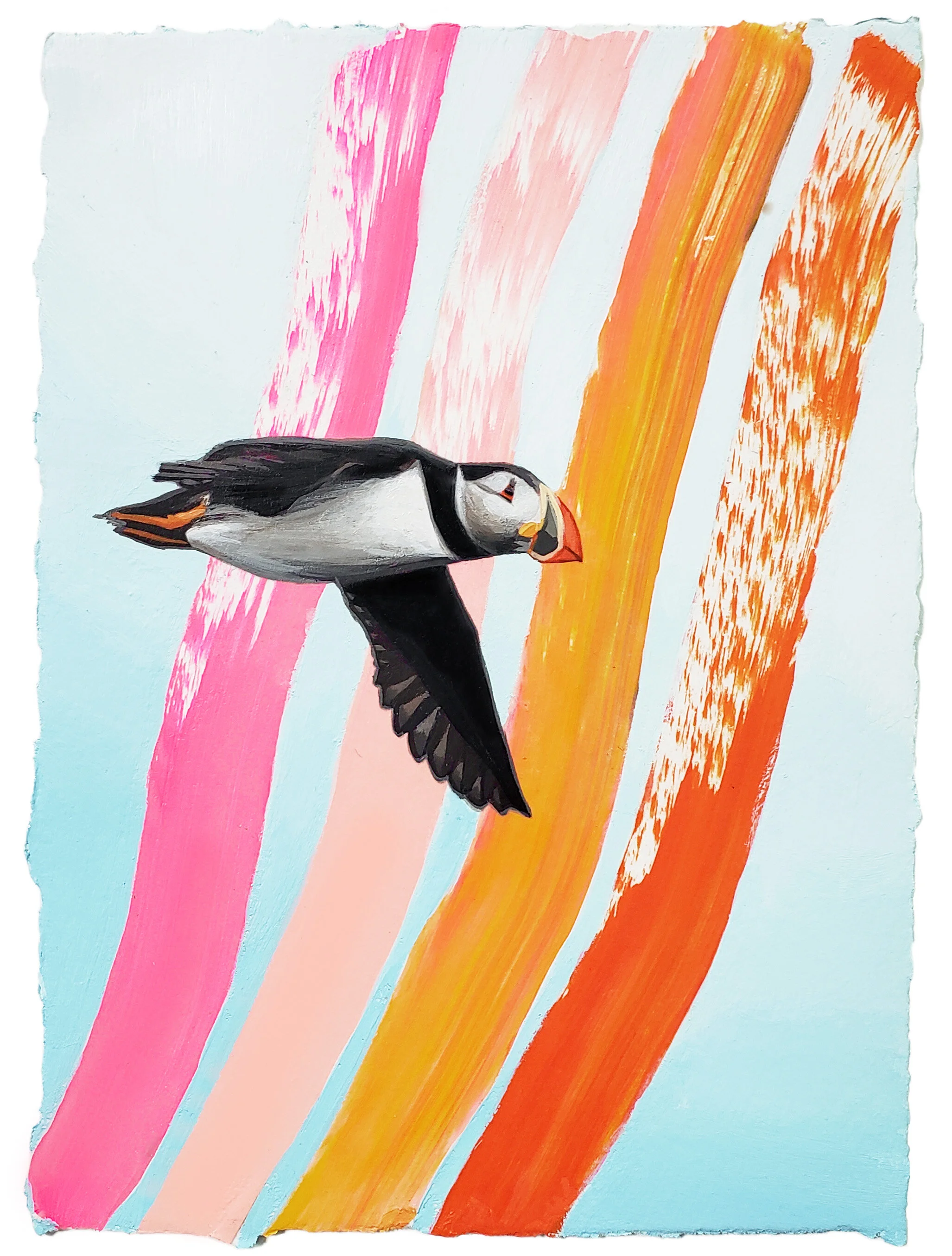 flyingpuffinweb.jpg